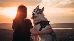 De trouwste vriend van de mens: kan een hond zijn baasje vergeten?