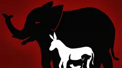 Interessante optische illusie: hoeveel dieren kun je in 10 seconden op deze afbeelding zien?