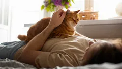 Je pluizige kleine genezer: waarom je kat altijd naar je toe komt als je ergens pijn hebt