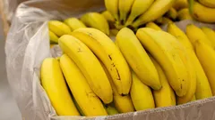 Signalen dat je deze bananen koste wat het kost moet vermijden – koop ze nooit