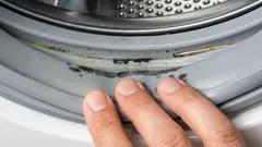 Waarom er op deze plek in je wasmachine schimmel kan ontstaan — en hoe je dat voorkomt