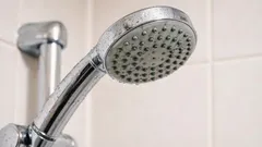 Geen bleekmiddel of schoonmaakmiddelen nodig: zo maak je de douchekop in 5 minuten schoon, volgens een bouwvakker